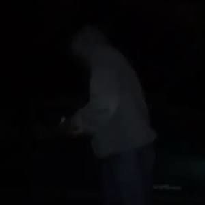 Meet your Posher, Timbo